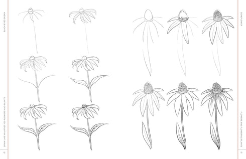 DRAW LIKE AN ARTIST: 100 FLOWERS AND PLANTS - WASHBURN. MELISSA